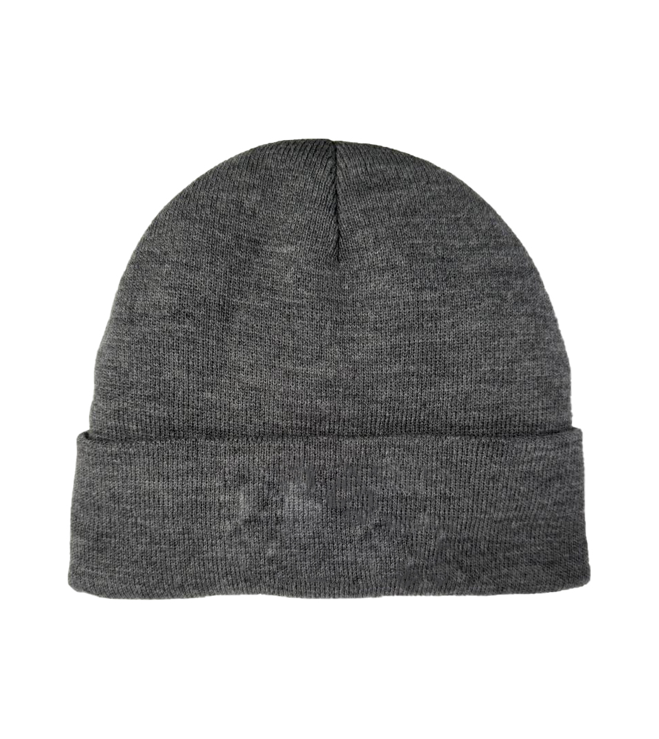 Шапка с тинсулейтом Шапка с тинсулейтом